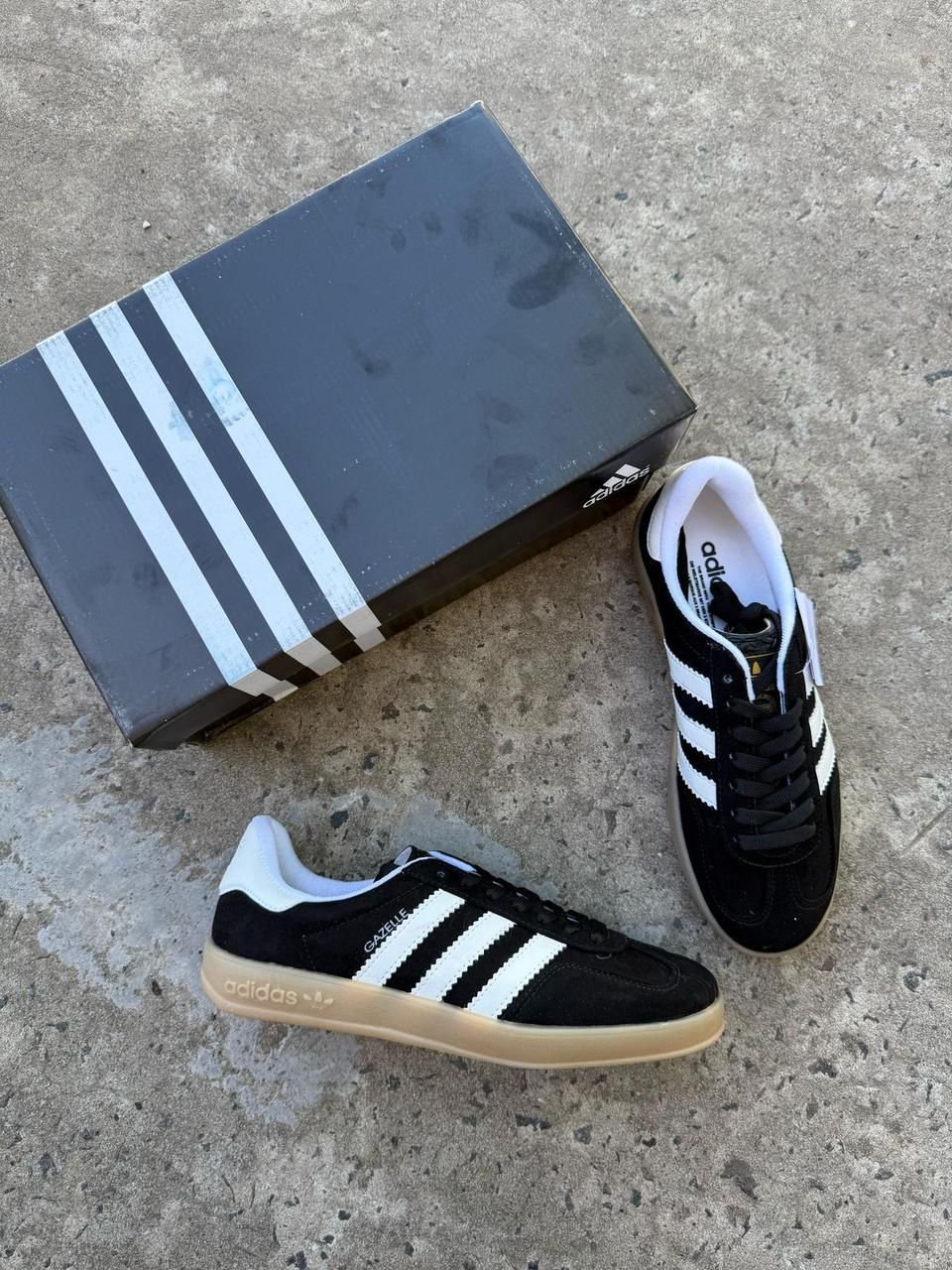 Gazzelle Indoor - Image 2