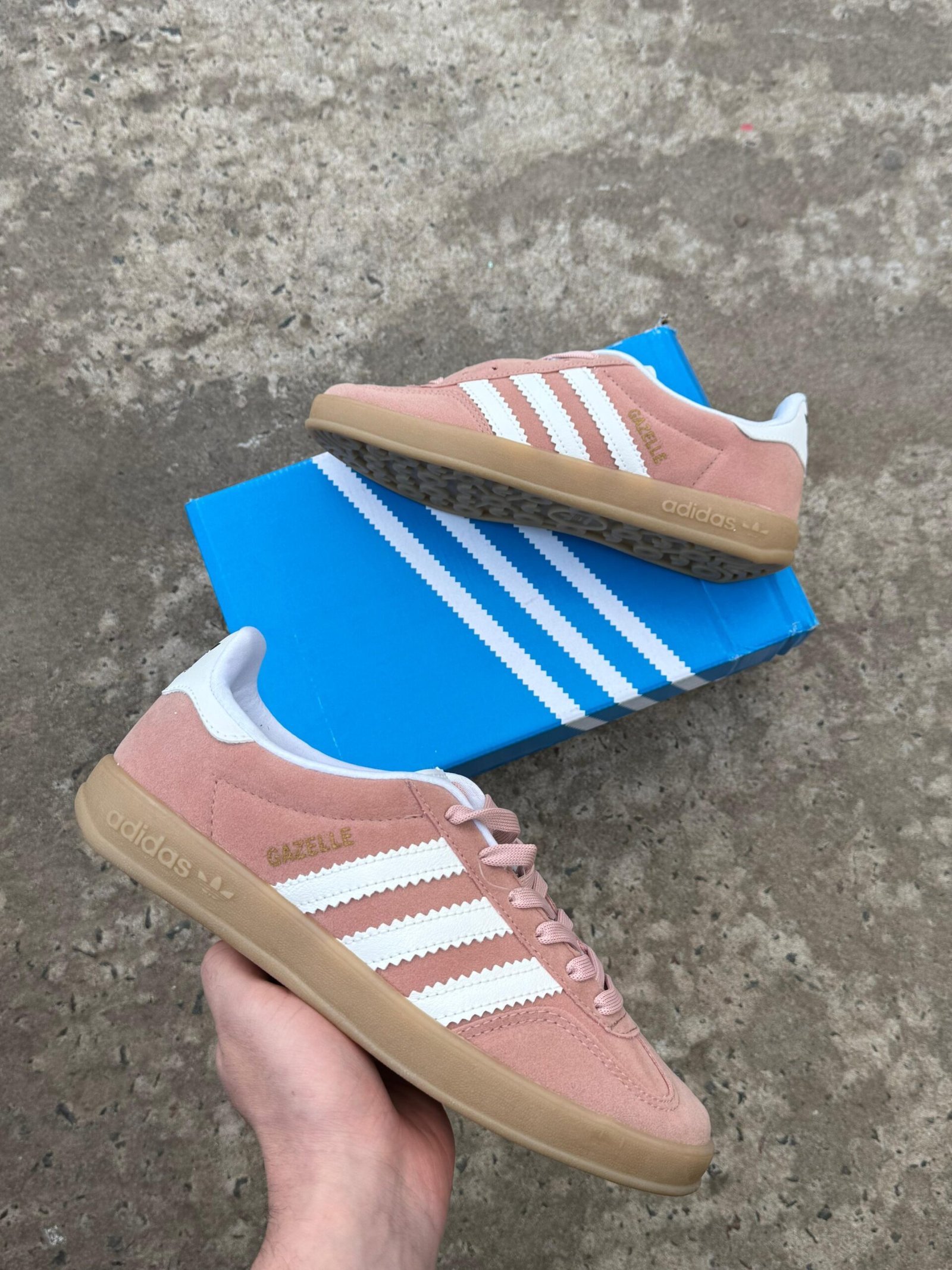 Gazzelle Indoor - Image 3