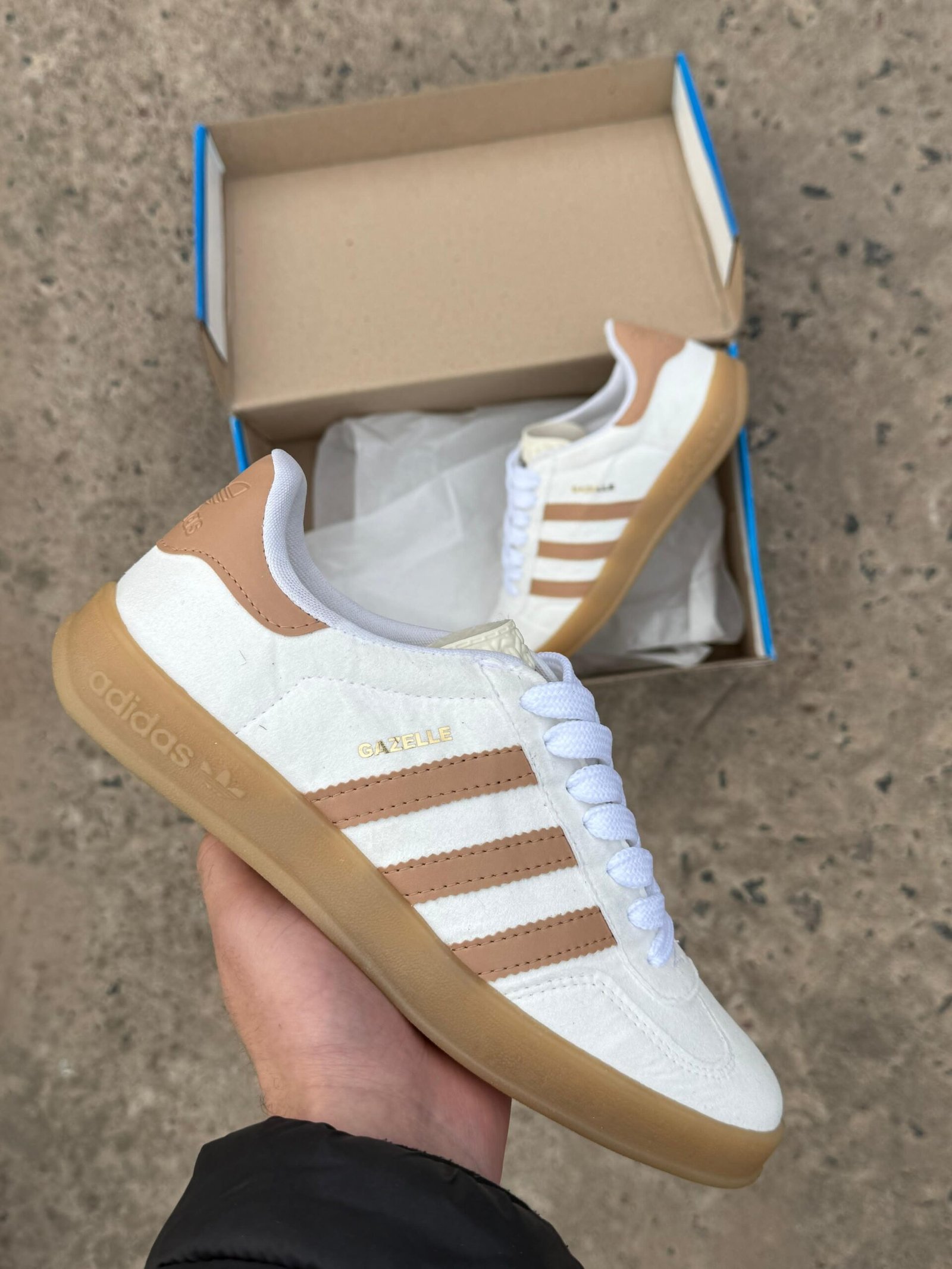 Gazzelle Indoor - Image 4